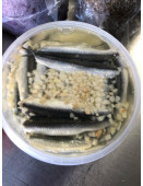Anchois à l'ail (x12)