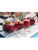 Tinto De Verano cannette 33cl (Casera)